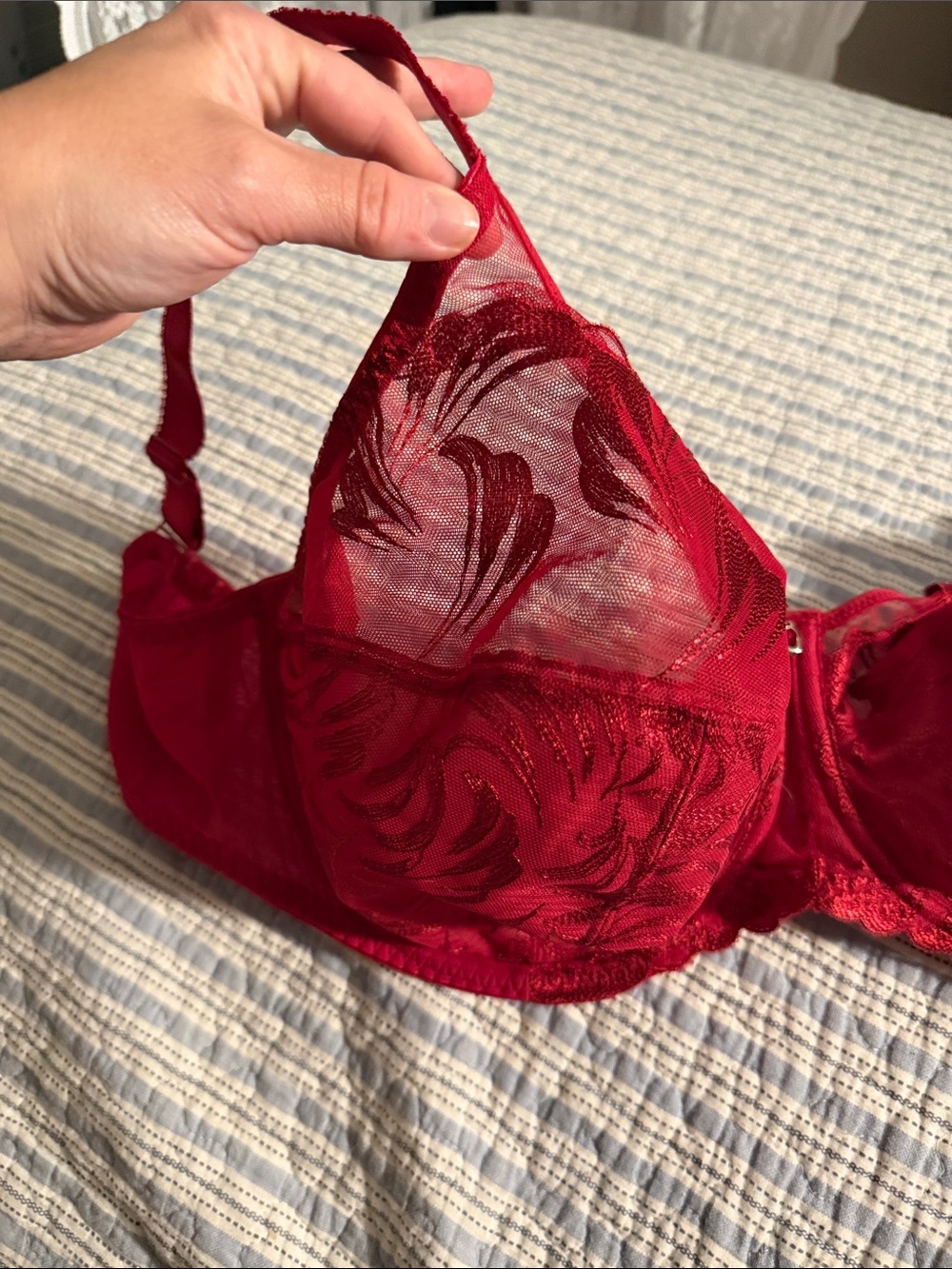 Fantasie Red Lace Underwire Bra full coverage - Picture 2 of 5